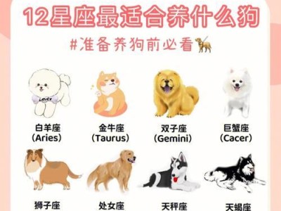 适合新手的小型犬品种推荐（选择你的新家伙！了解这5种常见小型犬品种）