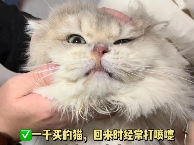 小猫为什么总打喷嚏？（探究小猫喷嚏的原因及应对方法）