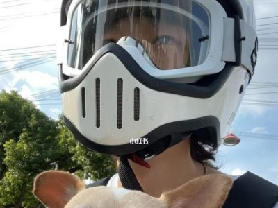 狗为何乘坐摩托车不会跳下去？（探究狗的自保本能和驯化效果）