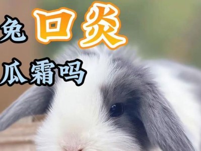 灰栗兔的全面饲养指南（以宠物为主，让你的灰栗兔健康快乐生活）