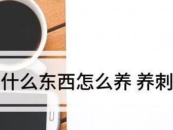 养刺猬的好处（为什么养刺猬对你和家庭都有好处？）