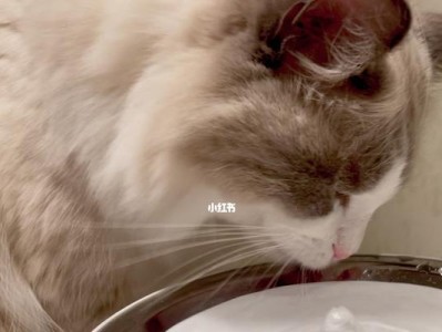 宠物主人必看！教你解决小猫不喝水的问题（宠物主人必看！教你解决小猫不喝水的问题）
