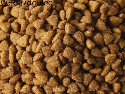 哈士奇的狗粮饮食计划（探索哈士奇每月所需狗粮量及断奶后狗粮饮食指南）