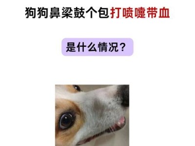 狗喘气的原因、症状和治疗方法（探究狗喘气的危害及防治措施）