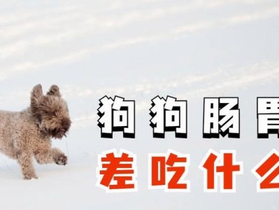 狗狗的肠胃健康之道（了解狗狗的饮食需求，呵护它们的肠胃）