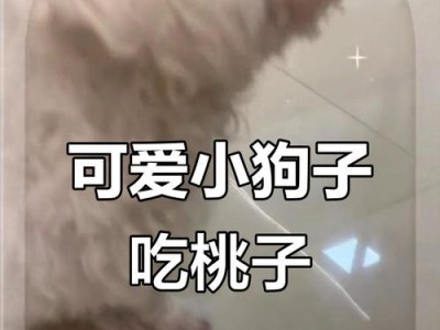 四月的比熊美食盛宴（探索比熊最爱的春季美食）