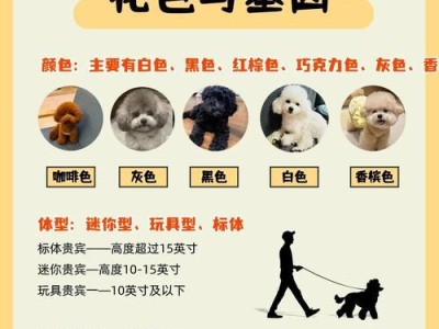 揭秘泰迪狗的睡眠奥秘（探索泰迪狗睡眠需求、睡姿以及影响因素）