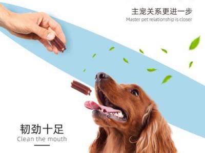狗狗磨牙棒（狗狗磨牙棒的作用、材质和选择技巧）