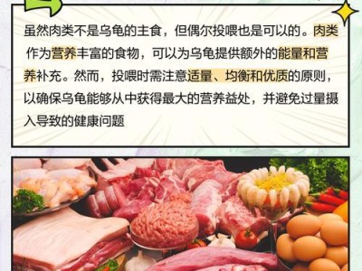 草龟的饮食习性与食物选择（以草食为主，适当添加富含纤维和蛋白质的食物）