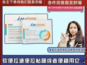 猫咪拉稀吃乳酶生解决方案（如何正确使用乳酶生帮助猫咪解决拉稀问题）