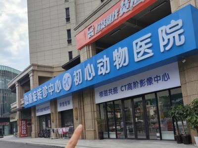 寻找最佳动物医院——宠物医疗保健的首选之地（为您的宠物提供优质医疗服务的动物医院推荐）