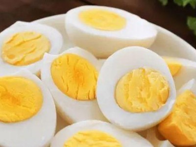狗狗能否吃鸡蛋？鸡蛋对狗狗的好处有哪些？（探究狗狗是否适合食用鸡蛋，以及鸡蛋对狗狗的营养益处。）