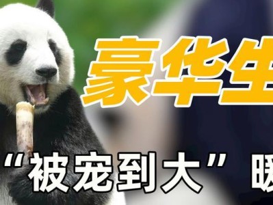为什么经常给狗狗吃胡萝卜？（探索胡萝卜对狗狗的好处与重要性）