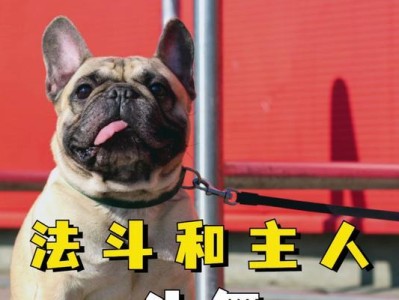 如何延长法斗的寿命？（探究法斗寿命及延长寿命的方法）