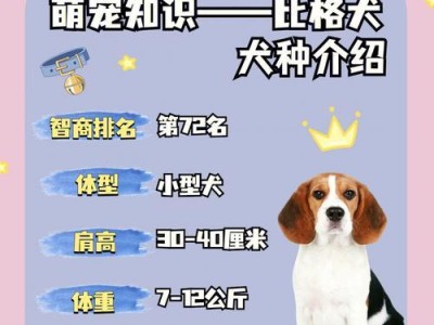 如何给比格幼犬提供适宜的饮水（了解比格幼犬的饮水需求，帮助其健康成长）
