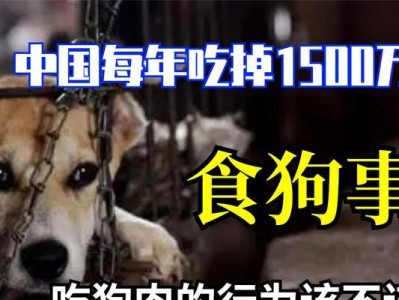 小狗挑食不吃任何东西（宠物小狗口味挑剔的原因及解决方法）