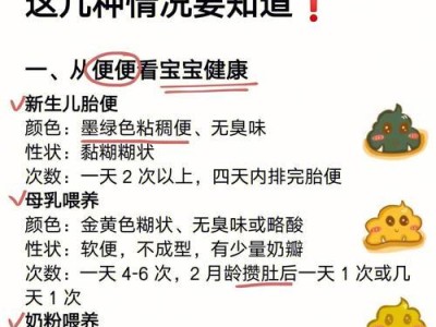 如何正确饲养婴猴（科学照顾让它健康成长）