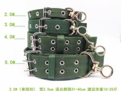 以马犬项圈之美