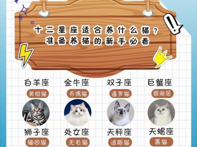选择什么种类的宠物猫好养？（了解不同种类宠物猫的特点，选择最适合自己的伙伴）