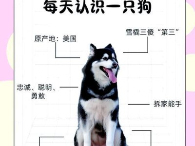阿拉斯加冬天洗澡的困扰与应对（寒冷环境下如何在阿拉斯加度过洗澡的日子）