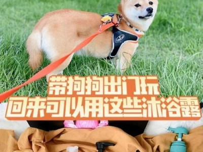 为狗狗选择最适合的沐浴露（让宠物犬洗个舒适的澡不再难）