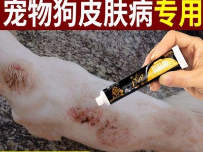 宠物狗皮肤病的治疗方法（药物治疗是关键）