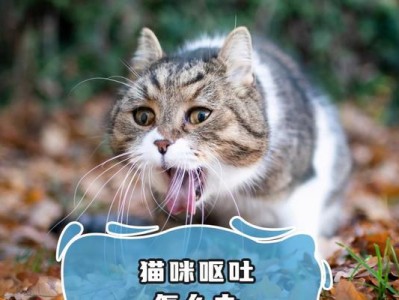 猫手术中呕吐的原因及解决方法（探究猫手术后出现呕吐的原因以及如何避免呕吐情况的发生）