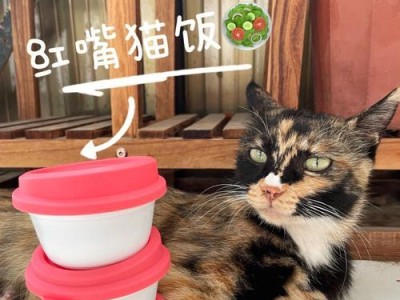 小猫饮食要点（为宠物的健康着想，多了解一些关于小猫蔬菜的知识）