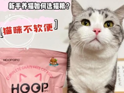 如何为4个月小猫咪添加益生菌？（了解小猫咪所需，助其健康成长）
