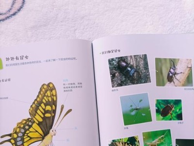 揭秘蝴蝶的十大奇特之处（了解蝴蝶的独特魅力与生态功能）