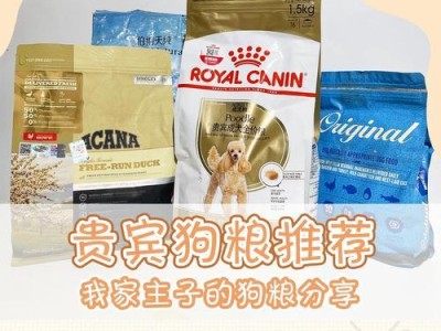 探寻适合泰迪狗的狗粮之谜（以9个问题了解泰迪狗的饮食需求）