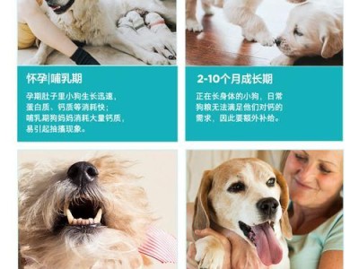 十级斗牛犬即将登场，拥有无与伦比的力量！（逼近人类极限的宠物犬，震撼世界！）