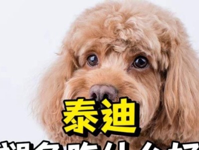 泰迪吃多了该怎么办？（掌握适当的药物应对）