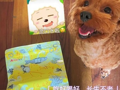 泰迪狗狗2个月应该吃什么狗粮？（如何帮助泰迪狗狗保持良好的消化？）