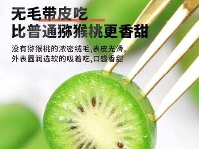 狗狗吃枣的危险性与注意事项（了解狗狗吃枣的风险，守护它的健康）