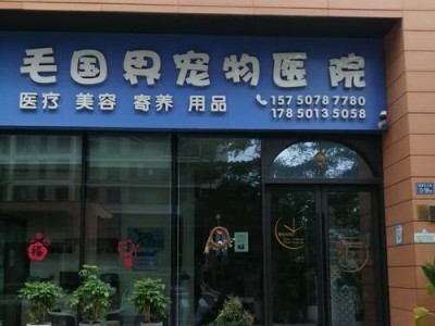 开设宠物诊所所需材料及必备设备（宠物诊所设备清单与用途）