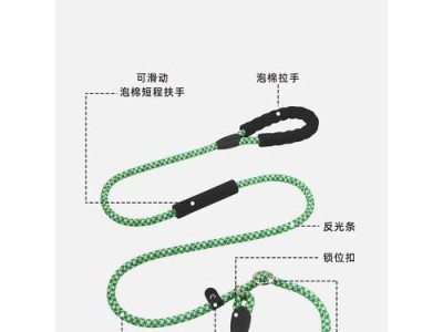 拉布拉多训练的区别（探索拉布拉多独特的训练特点）
