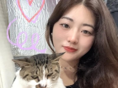 揭秘猫咪长不大的原因（探索猫咪体型停滞的奥秘）