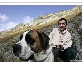 圣伯纳犬的饲养方法（如何成为一名合格的圣伯纳犬主人）