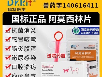 狗止咳药物选择指南（以狗止咳用什么药最好？）